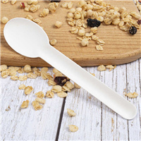 paper cutlery from China MMCIS